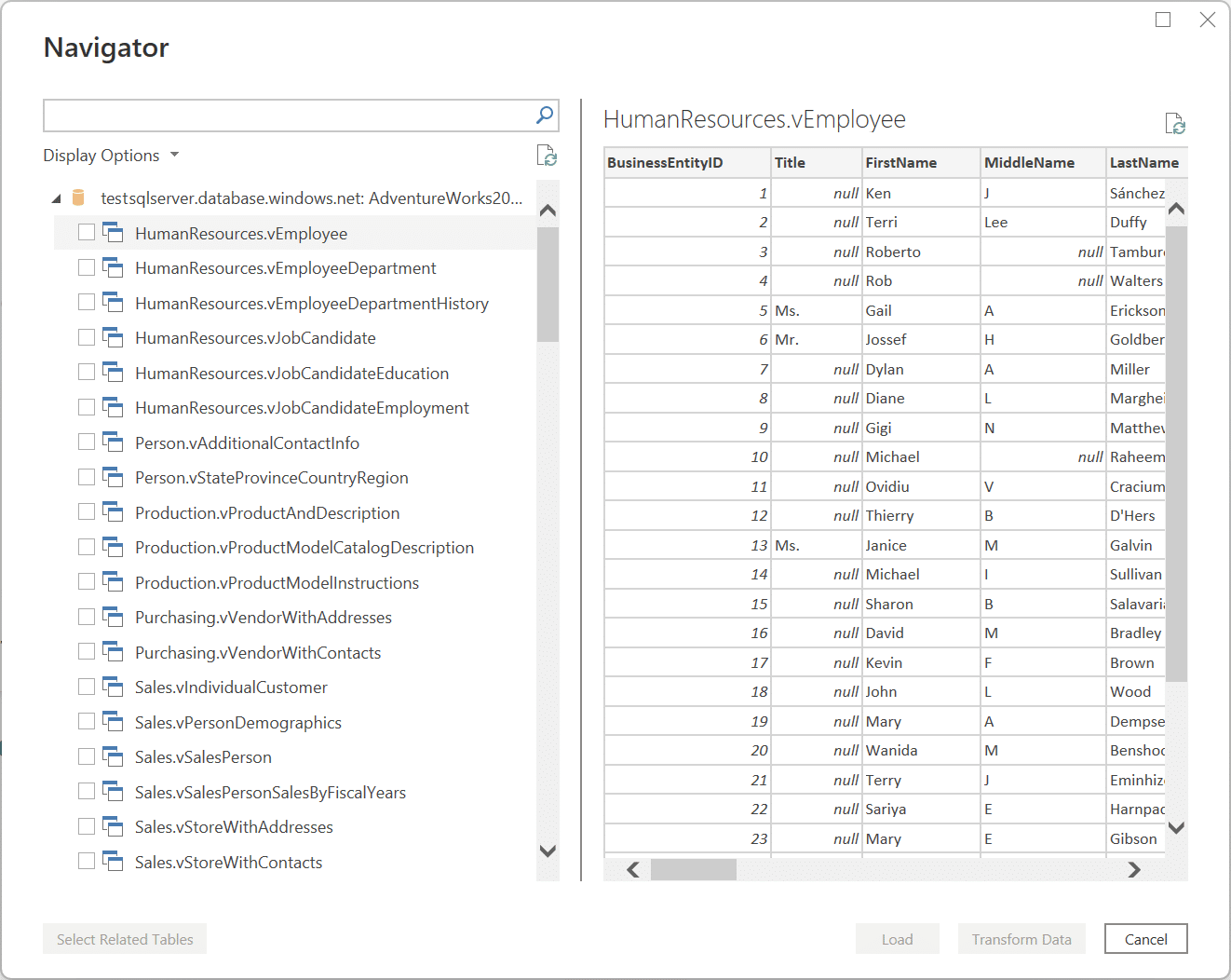 a screenshot of data preview in navigator pane in excel