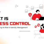 header image for what is access control with human doing IT work visuals
