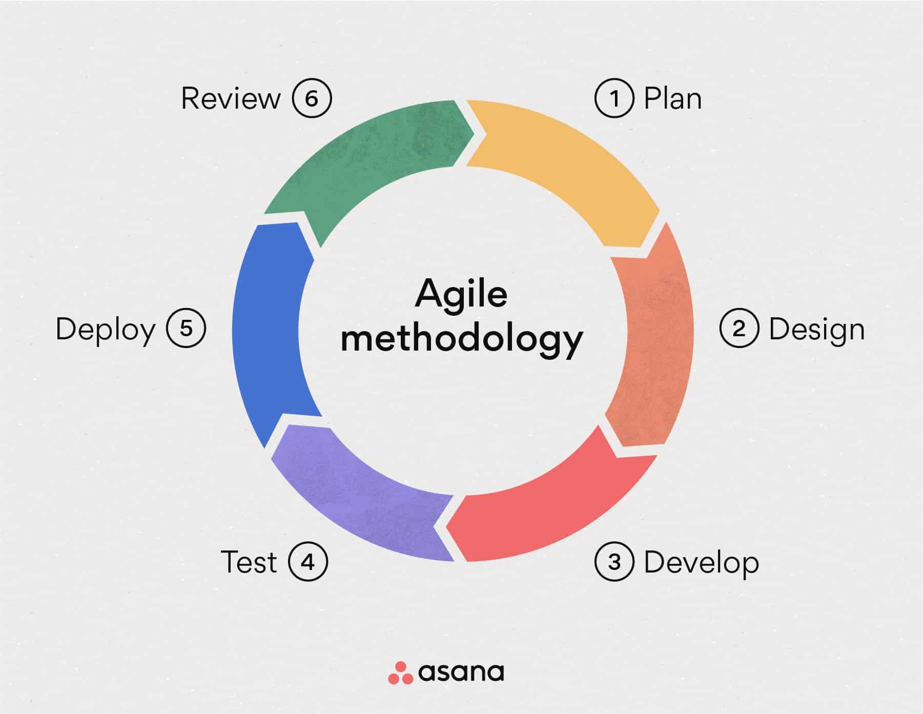 agile methodology sample by asana