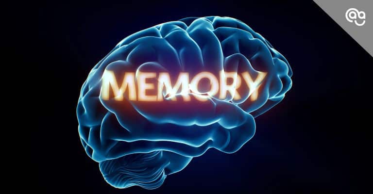 Enhance Your Memory Course Image