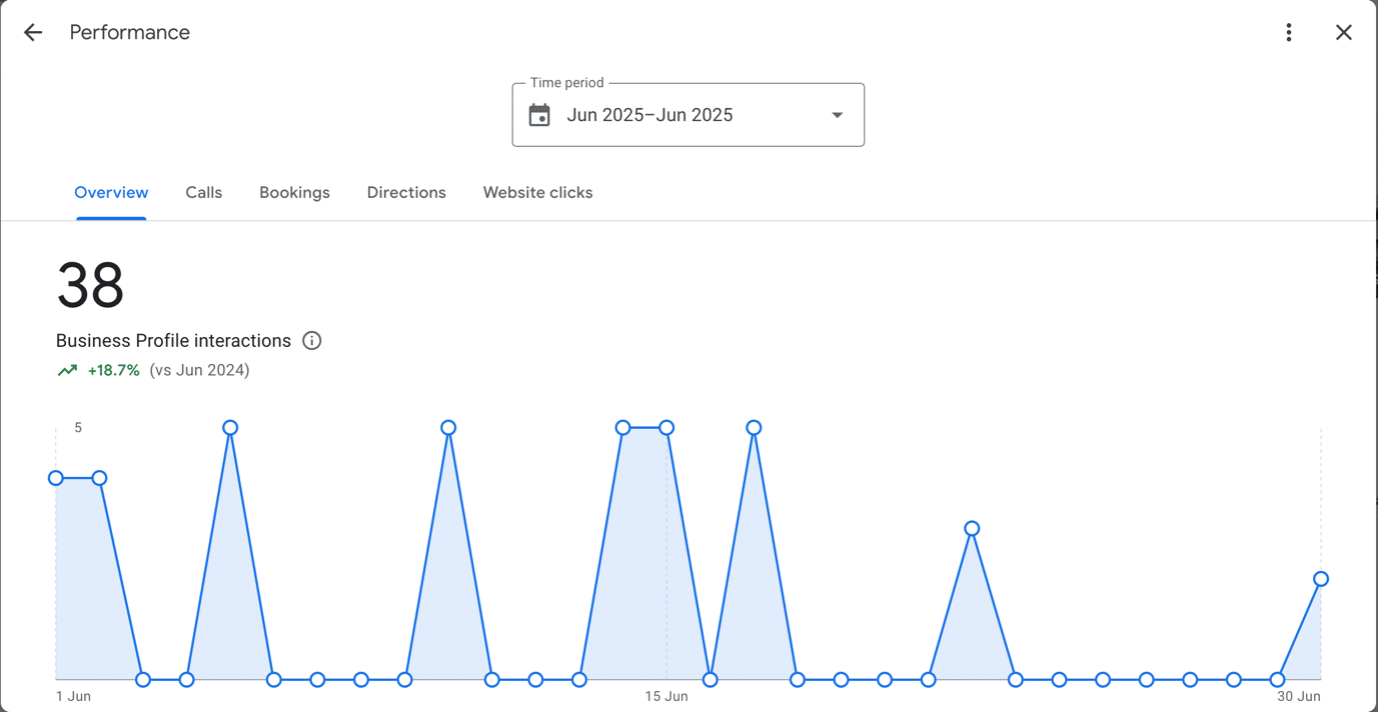 Example of Google Business Profile Performance Insights