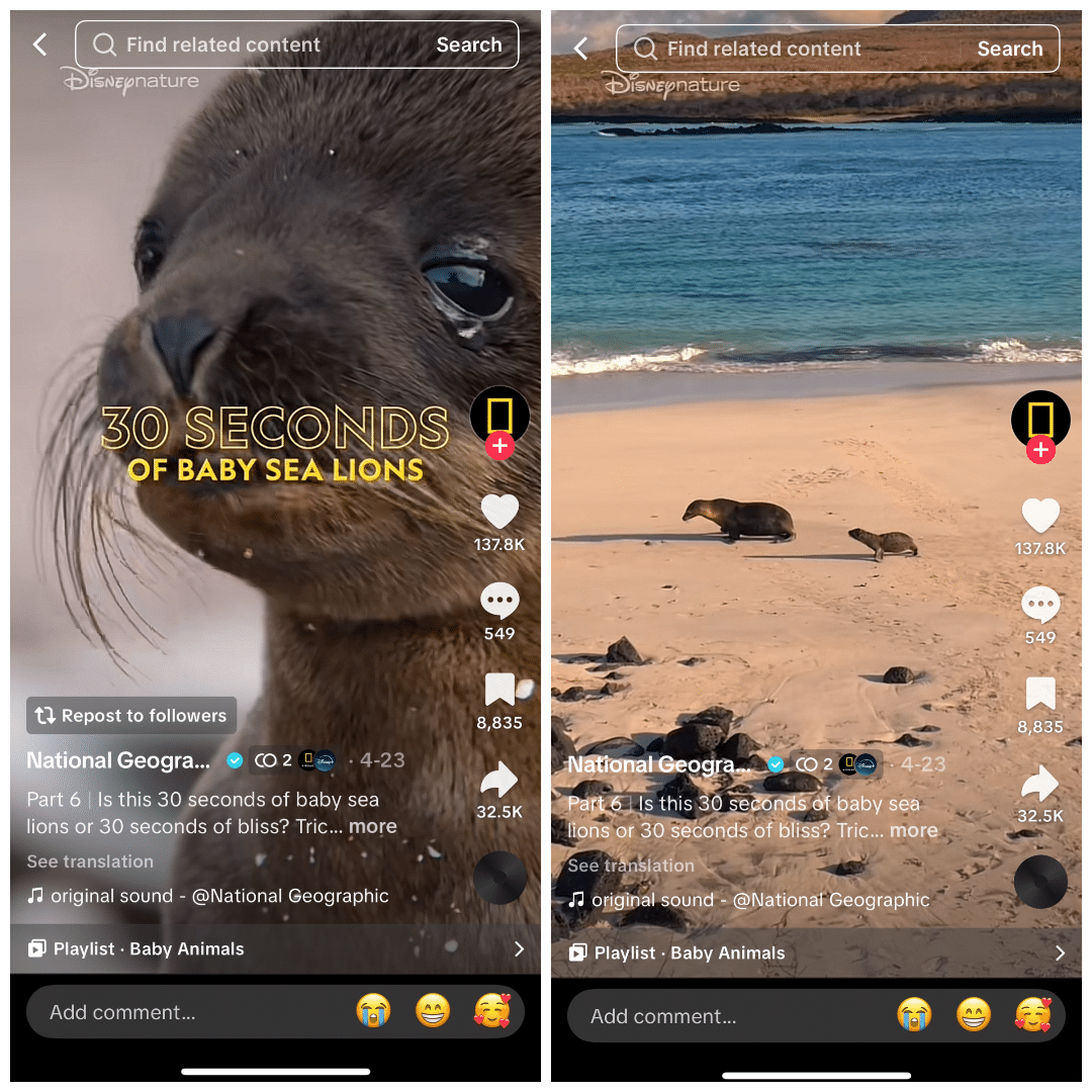 screenshot of national geographic on tiktok using emotions as shareable content
