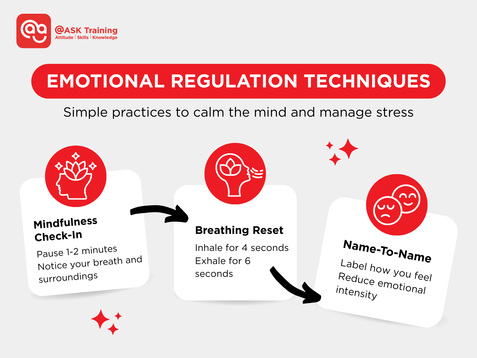 Infographic titled 'Emotional Regulation Techniques' showing multiple technique icons and short labels