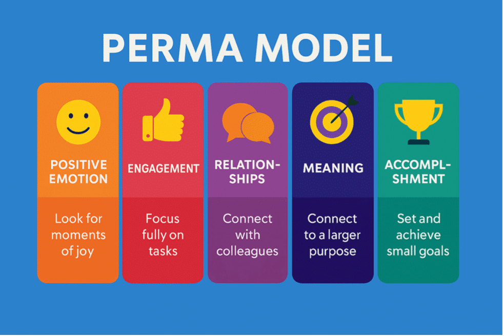 PERMA model diagram with five colored columns representing positive emotion, engagement, relationships, meaning, and accomplishment
